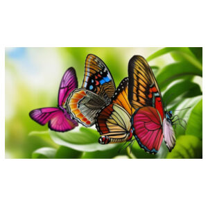 Butterfly Cup - Mug Design