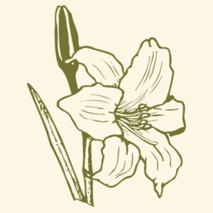 Olive Flower - AS Colour Parcel Tote Design