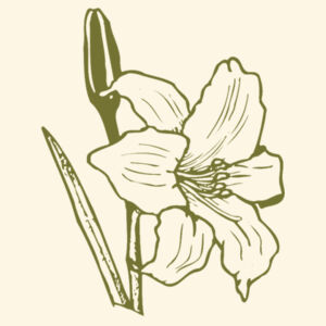 Olive Flower - AS Colour Carrie Tote Bag  Design