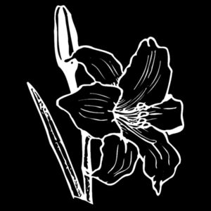 White Flower - AS Colour Parcel Tote Design