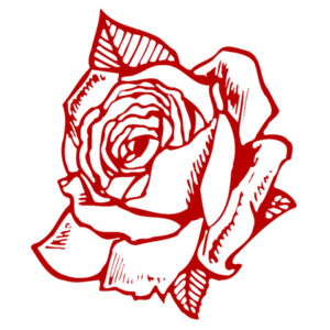 Red Rose - AS Colour Womens Oversized Dress Design