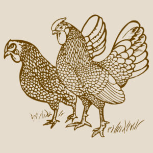 Two Chicks - Walnut - Cushion cover Design