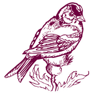 Birdie - Maroon - Cushion cover Design