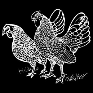 Two Chicks - White - Cushion cover Design